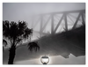 Sydney Harbour Bridge in the Fog 3
